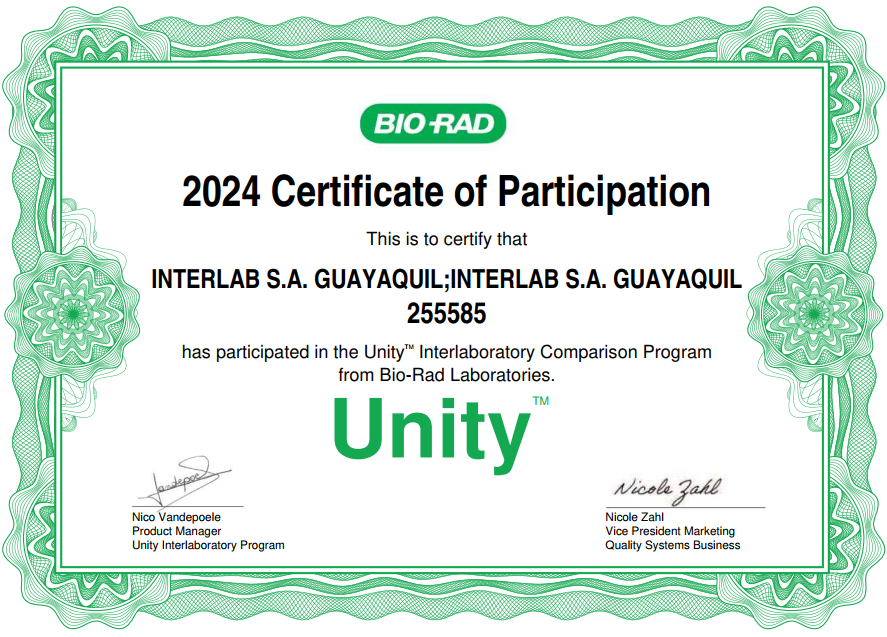 Certificado de participaci&oacute;n 553842